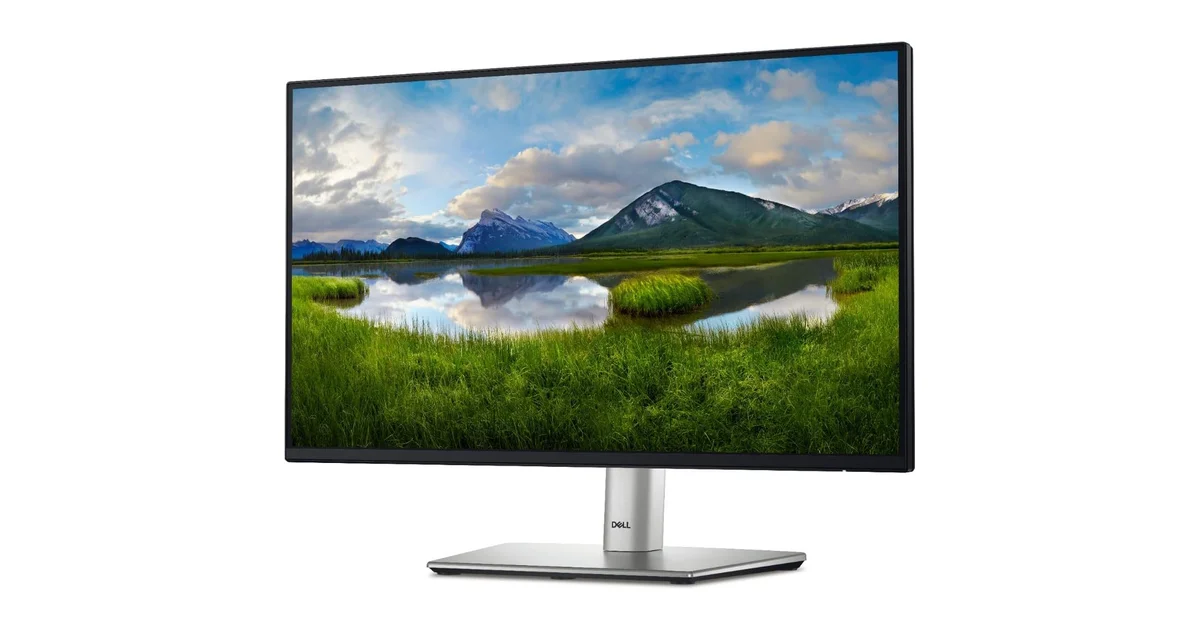 Dell P2422H
