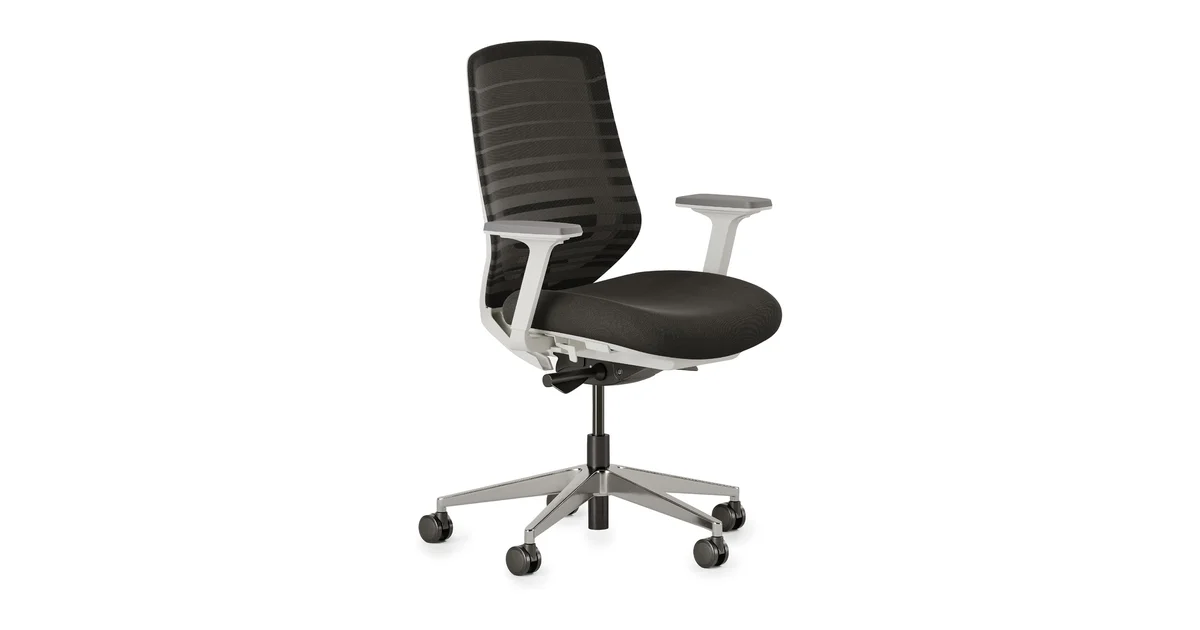 Branch Ergonomic Chair with adjustable lumbar support