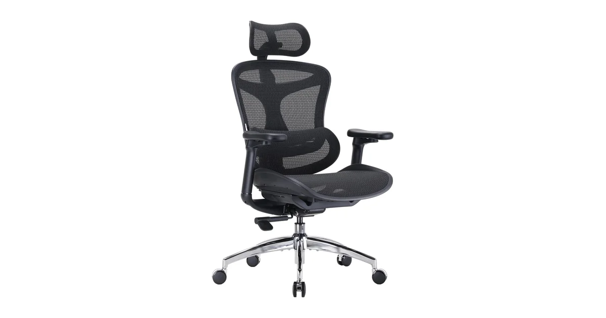 SIHOO Doro C300 Ergonomic Office Chair with dynamic lumbar support